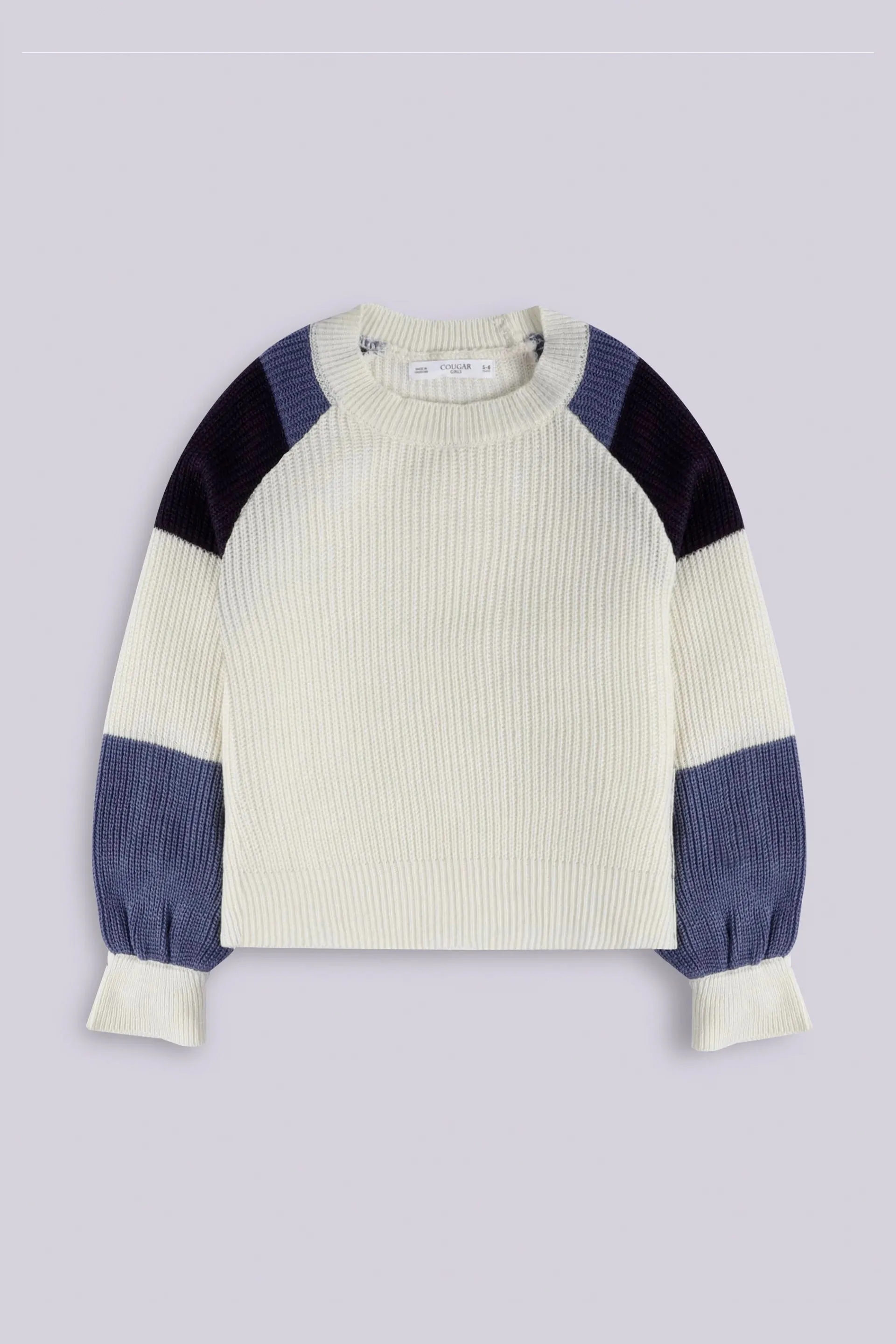 Color Block Raglan Sleeves Sweater