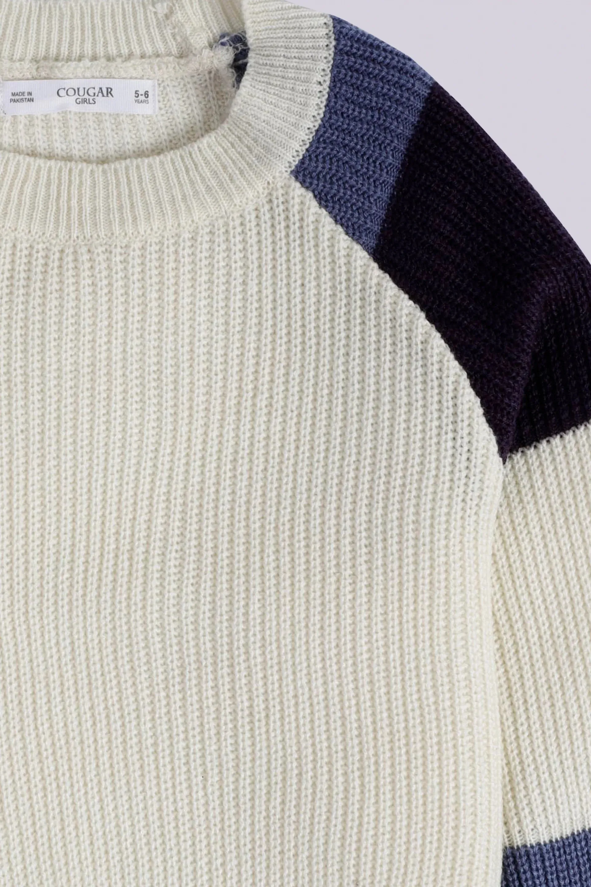 Color Block Raglan Sleeves Sweater