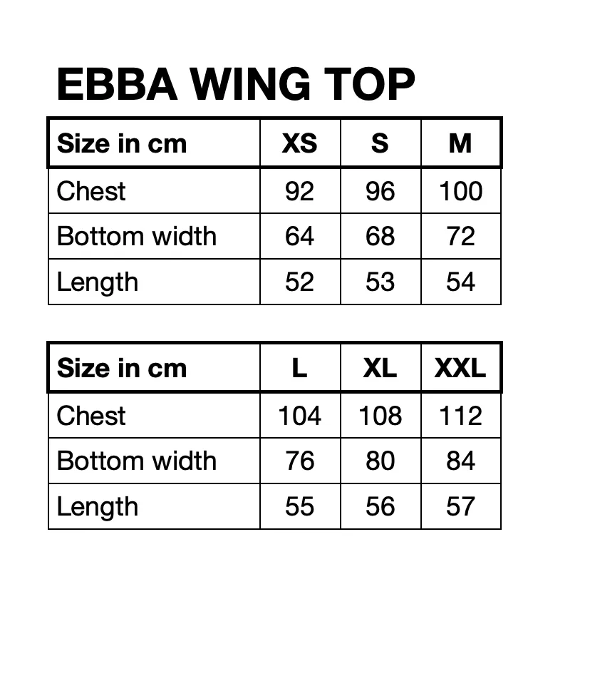 Ebba Wing top - Light Blue