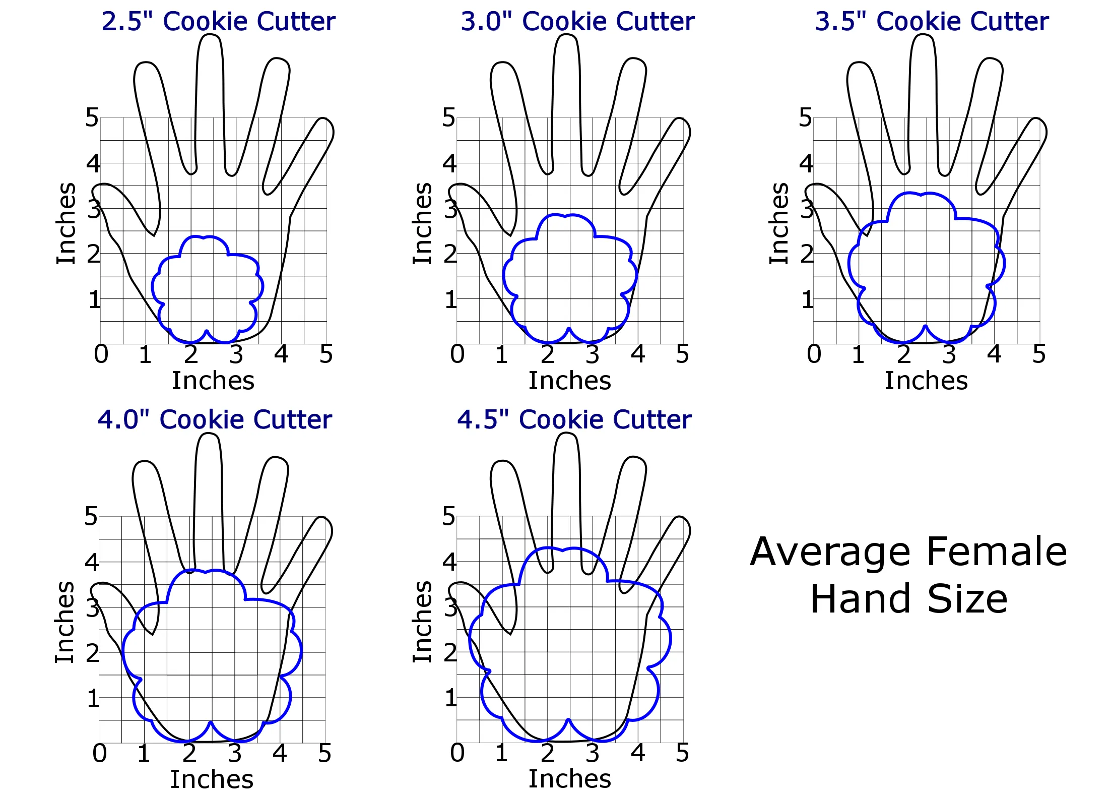 Flower - Hibiscus - Cookie Cutter