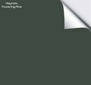 Haymes Towering Pine