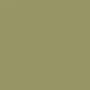 Military Green DE 5530