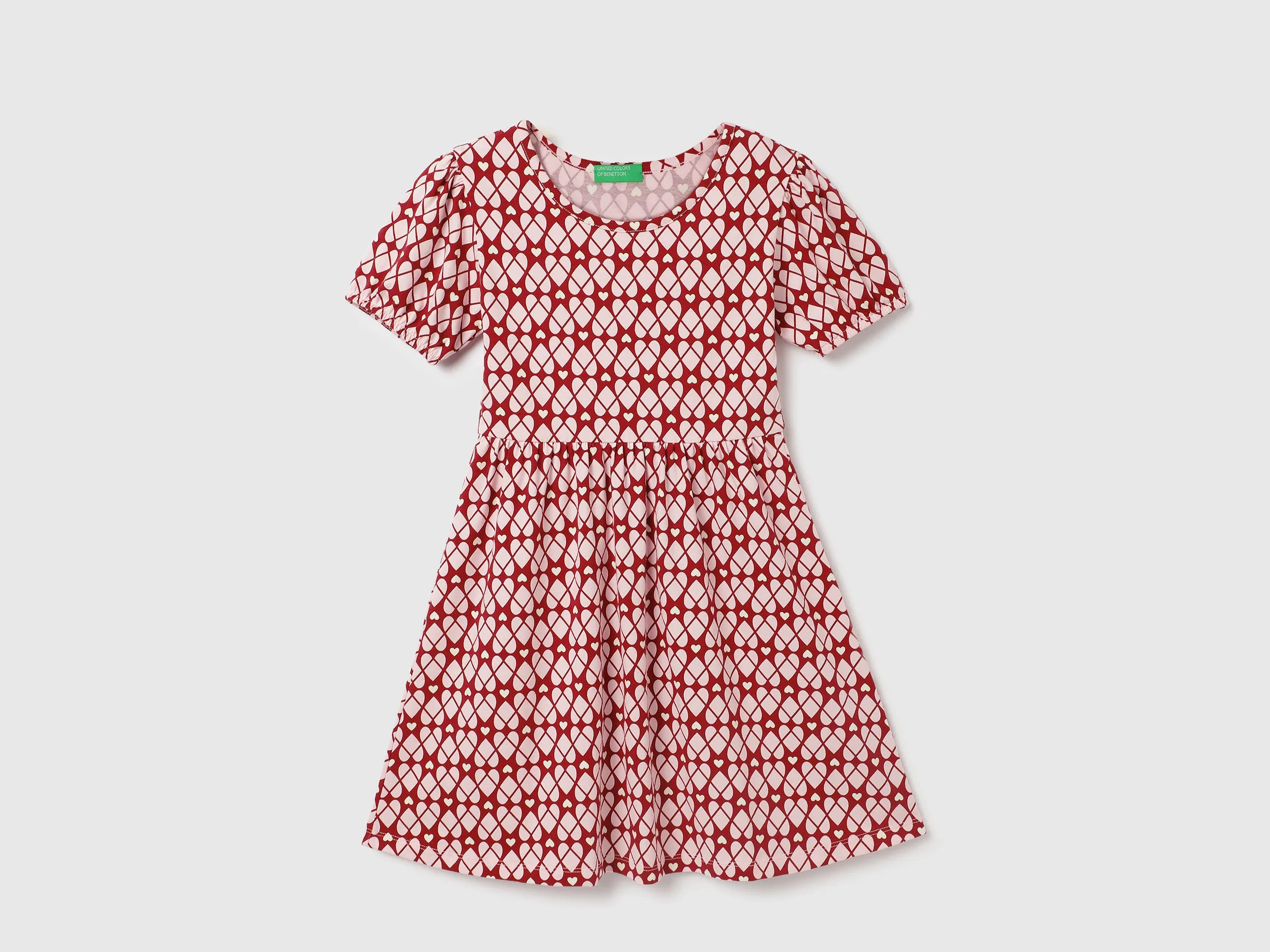Regular Fit Round Neck Printed Dress