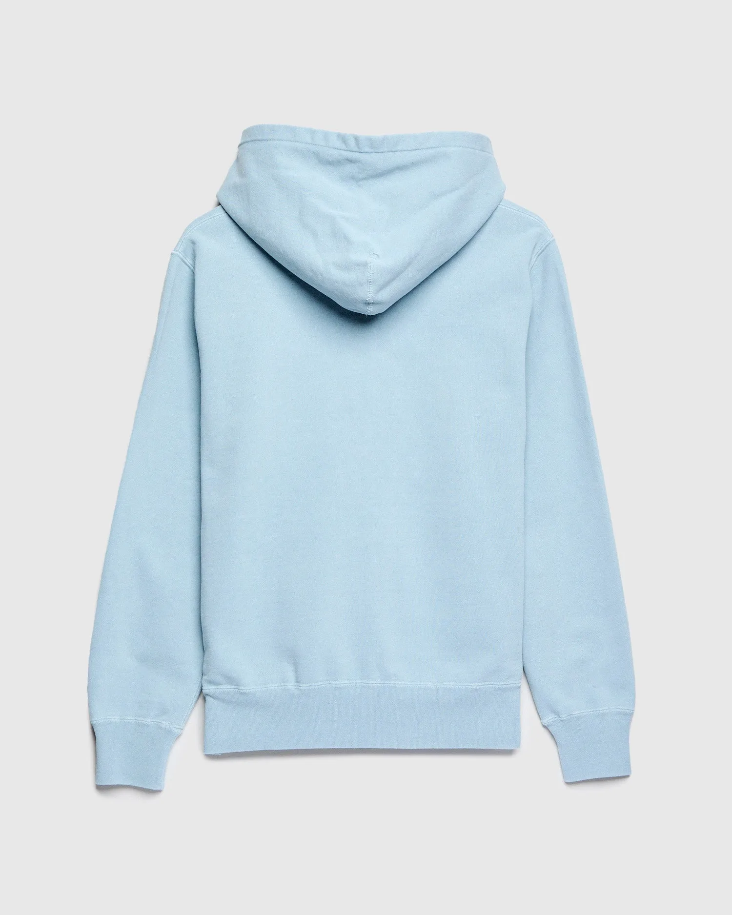 Special Finish Zip Hoodie in Sax